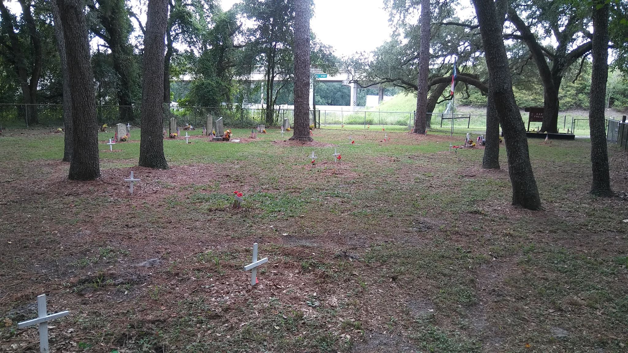 Wild Cow Prairie Cemetery