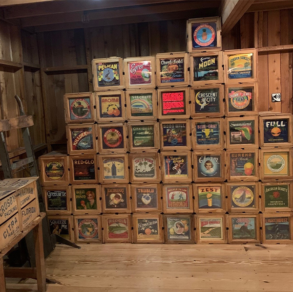 Food Cultivation and Economies