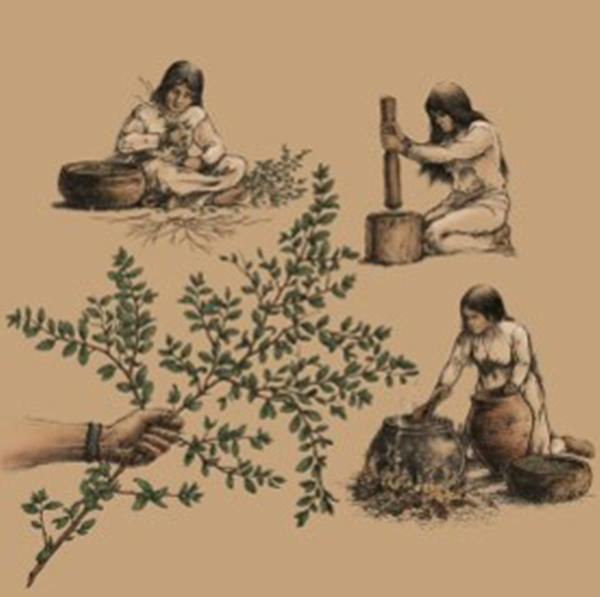 Foodways of Native Floridians