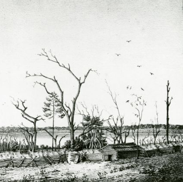 Food Cultivation at The Grove