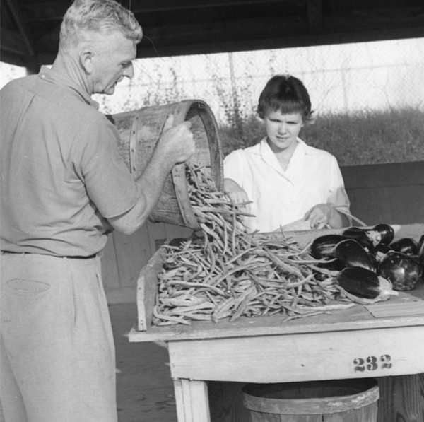 Florida Memory Floridiana Articles