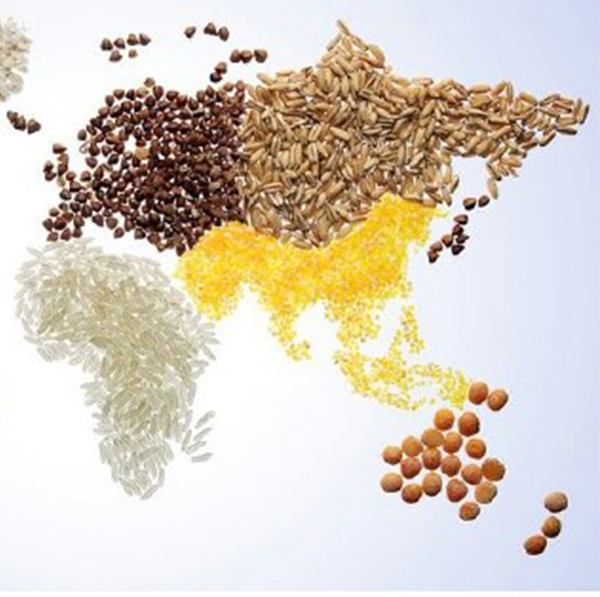 Backyard Discovery: Forgotten Foodways