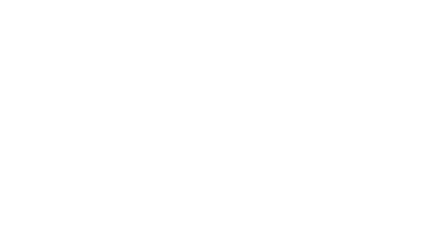 Division of Arts & Culture White Horizontal Logo