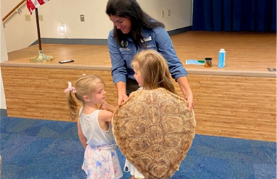 Sea Turtles at the Library
