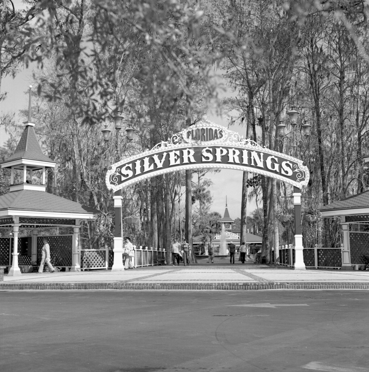 Silver Springs- Ocala