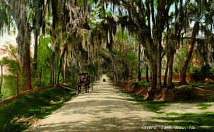 Lovers' lane - Ocala, Florida.